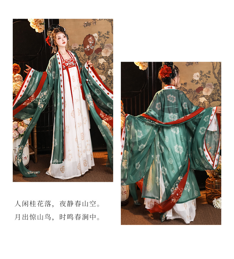 Tang style Chinese wind recovery Tang 褙子 chest-length big sleeve shirt embroidery ancient wind fairy elegant improved spring and summer thin(pic10)