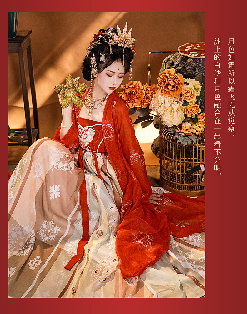 Tang Dynasty original Hanfu female restoration Chinese style embroidery Chebule dress ancient fairy elegant spring summer autumn suit(pic17)