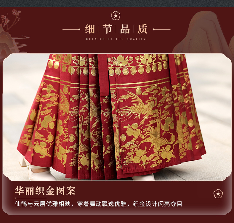 Summer new Chinese style womens dress Ming improved Hanfu adult black horse skirt set skirt(pic3)