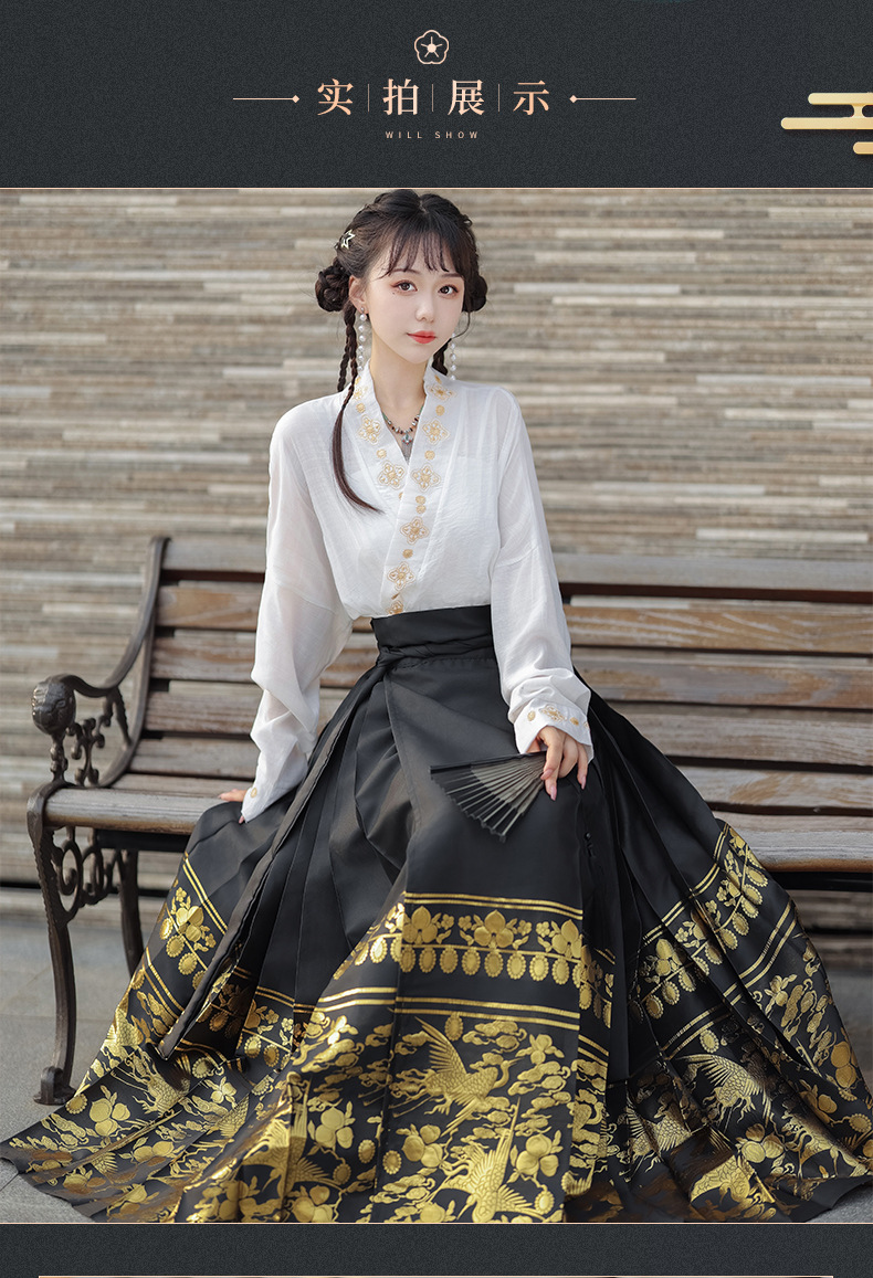 Summer new Chinese style womens dress Ming improved Hanfu adult black horse skirt set skirt(pic7)