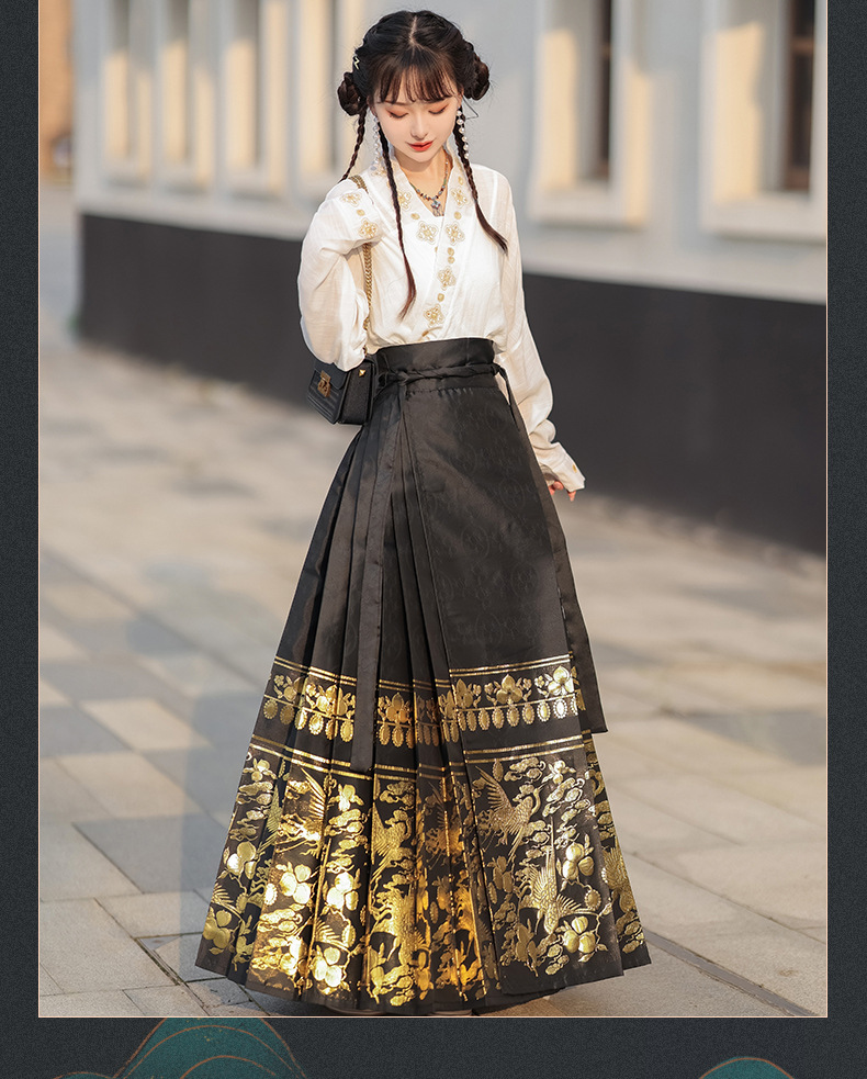 Summer new Chinese style womens dress Ming improved Hanfu adult black horse skirt set skirt(pic8)