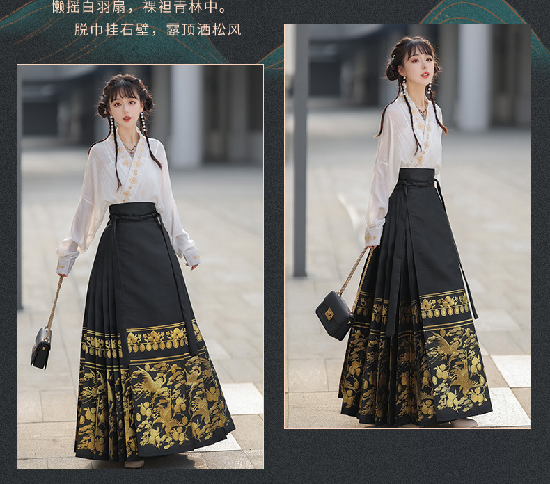 Summer new Chinese style womens dress Ming improved Hanfu adult black horse skirt set skirt(pic9)