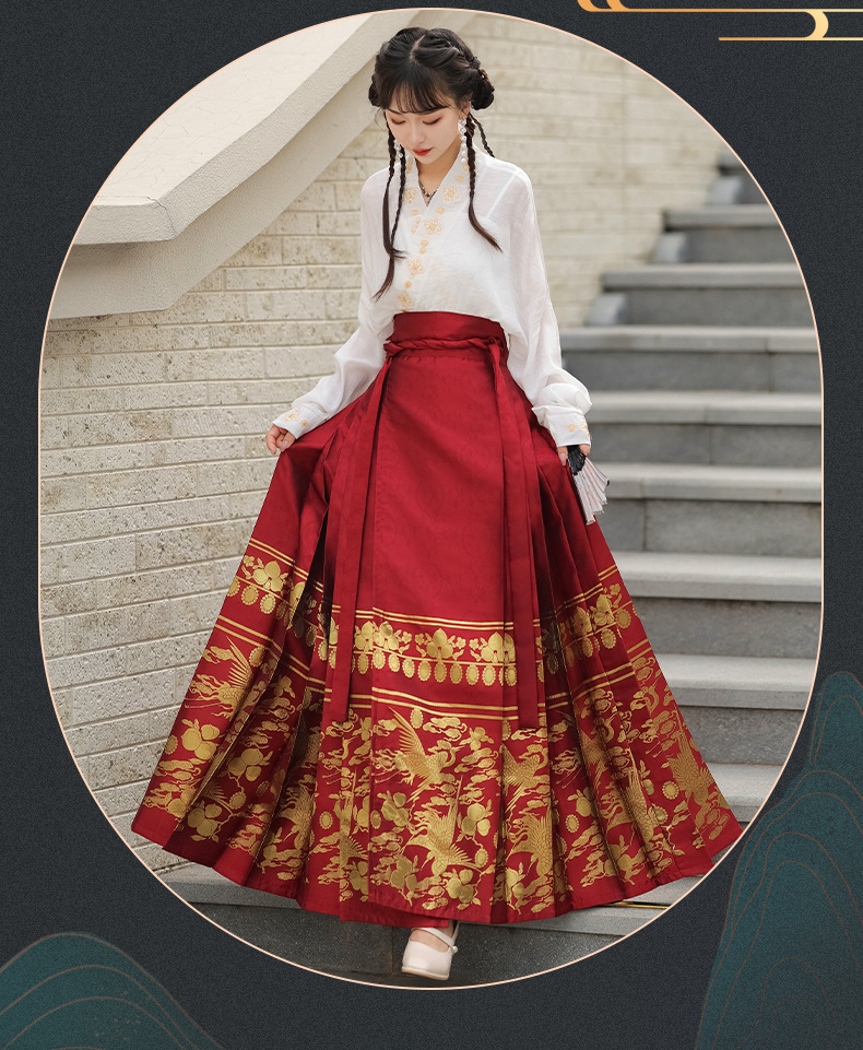 Summer new Chinese style womens dress Ming improved Hanfu adult black horse skirt set skirt(pic11)