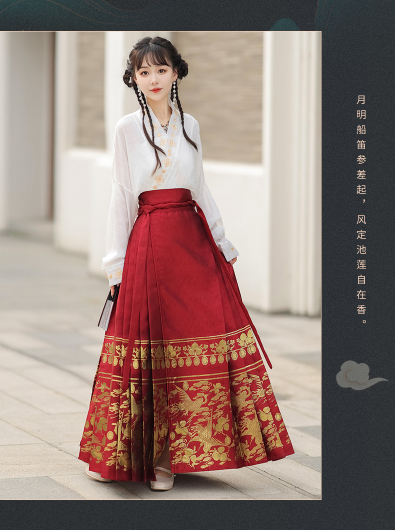 Summer new Chinese style womens dress Ming improved Hanfu adult black horse skirt set skirt(pic12)