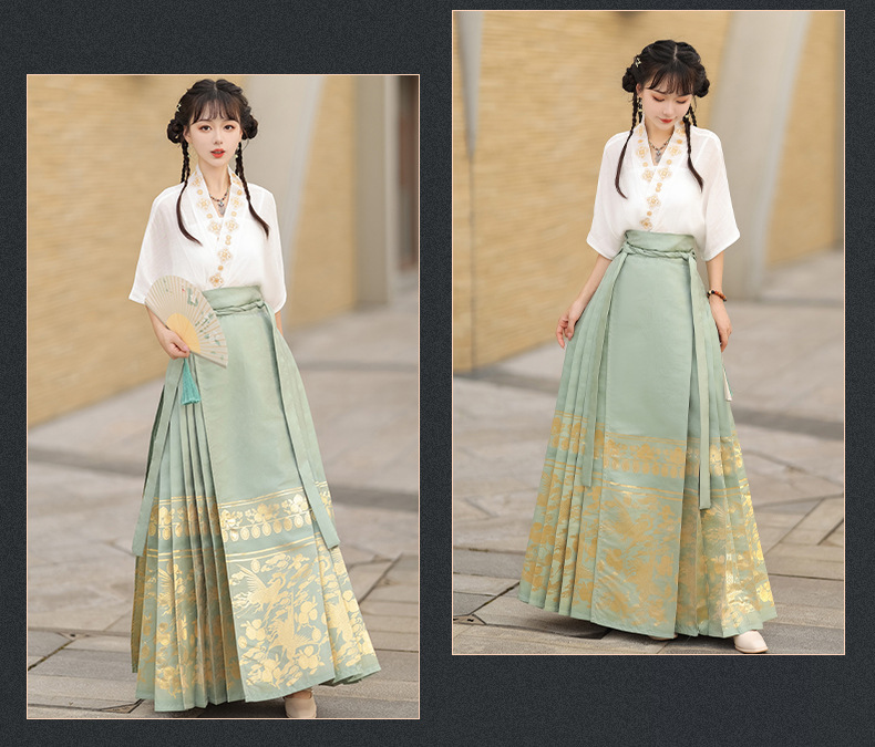 Summer new Chinese style womens dress Ming improved Hanfu adult black horse skirt set skirt(pic17)