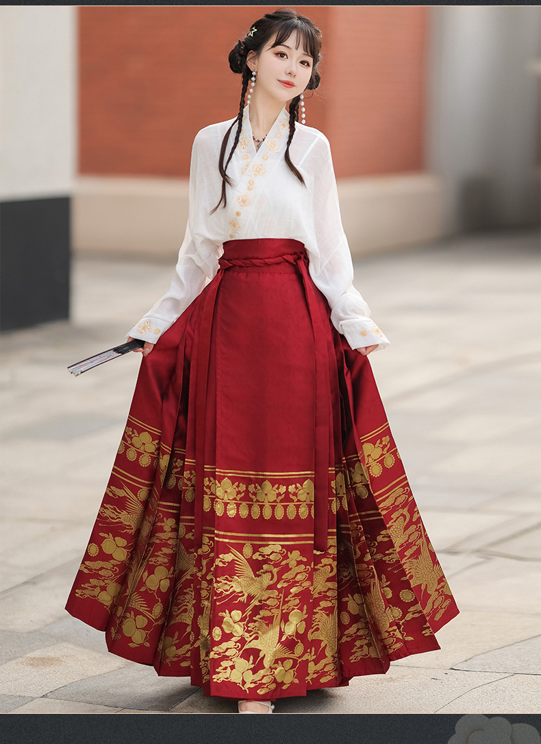 Summer new Chinese style womens dress Ming improved Hanfu adult black horse skirt set skirt(pic13)