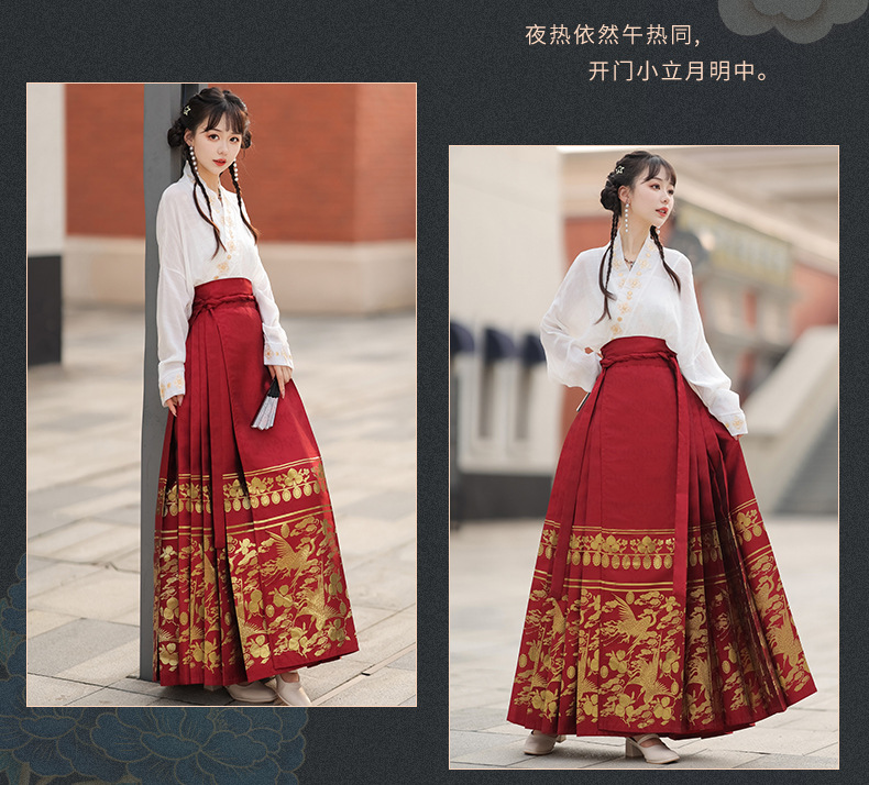 Summer new Chinese style womens dress Ming improved Hanfu adult black horse skirt set skirt(pic14)