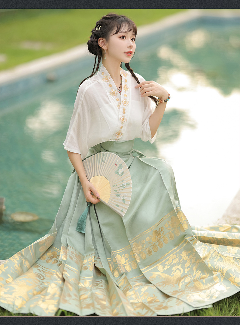 Summer new Chinese style womens dress Ming improved Hanfu adult black horse skirt set skirt(pic16)