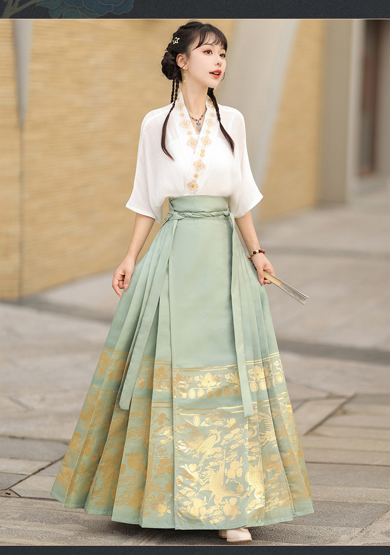 Summer new Chinese style womens dress Ming improved Hanfu adult black horse skirt set skirt(pic15)