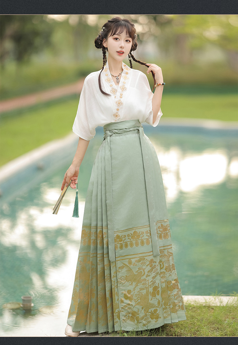 Summer new Chinese style womens dress Ming improved Hanfu adult black horse skirt set skirt(pic19)