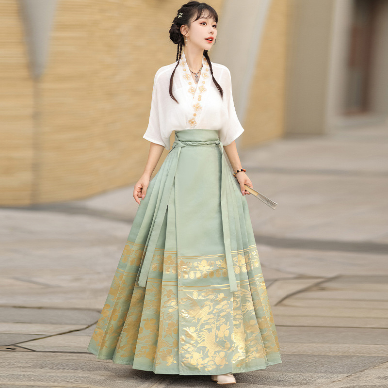 Summer new Chinese style womens dress Ming improved Hanfu adult black horse skirt set skirt(pic20)