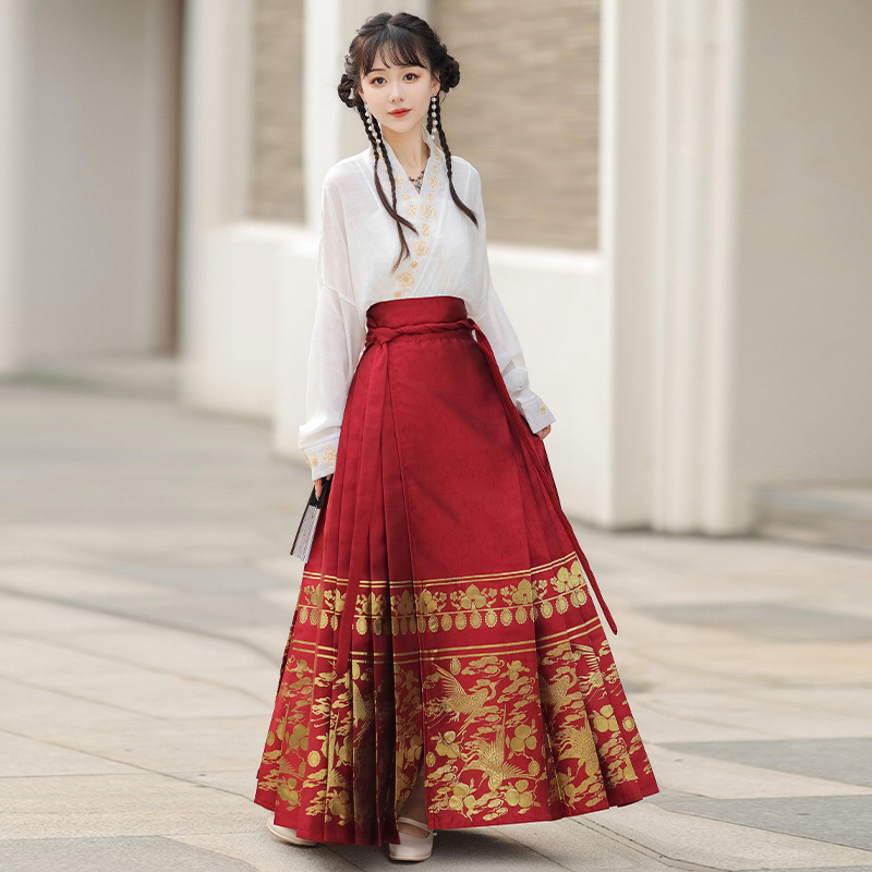 Summer new Chinese style womens dress Ming improved Hanfu adult black horse skirt set skirt(pic22)